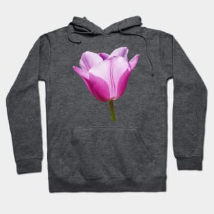 Mauve Tulip Hoodie